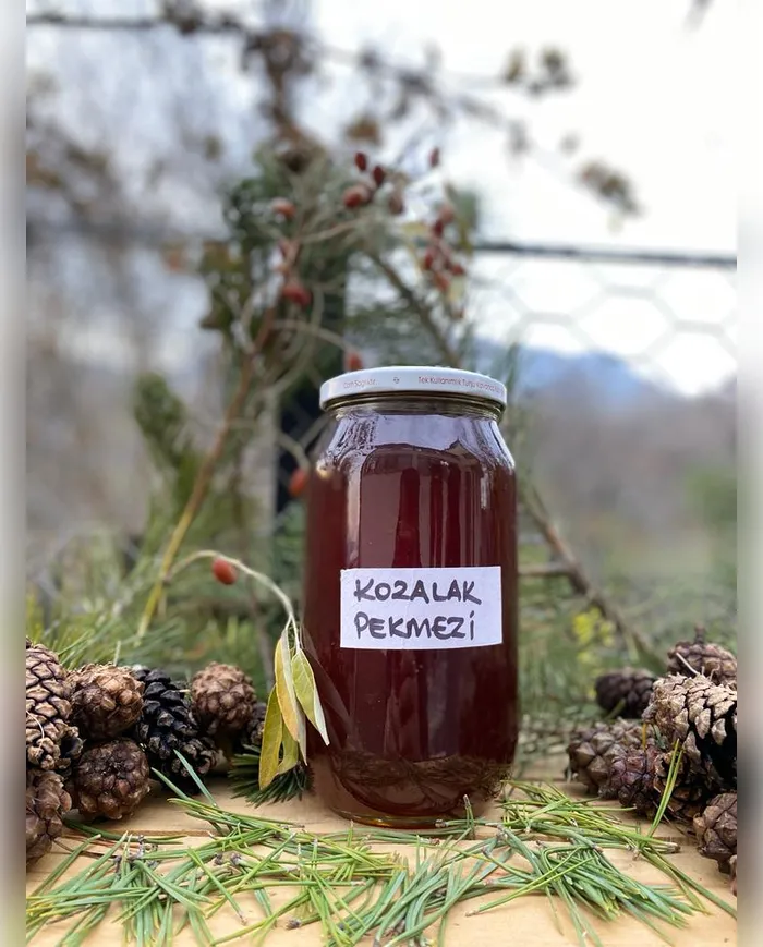 1 KG El Yapımı Çam Kozalağı Pekmezi