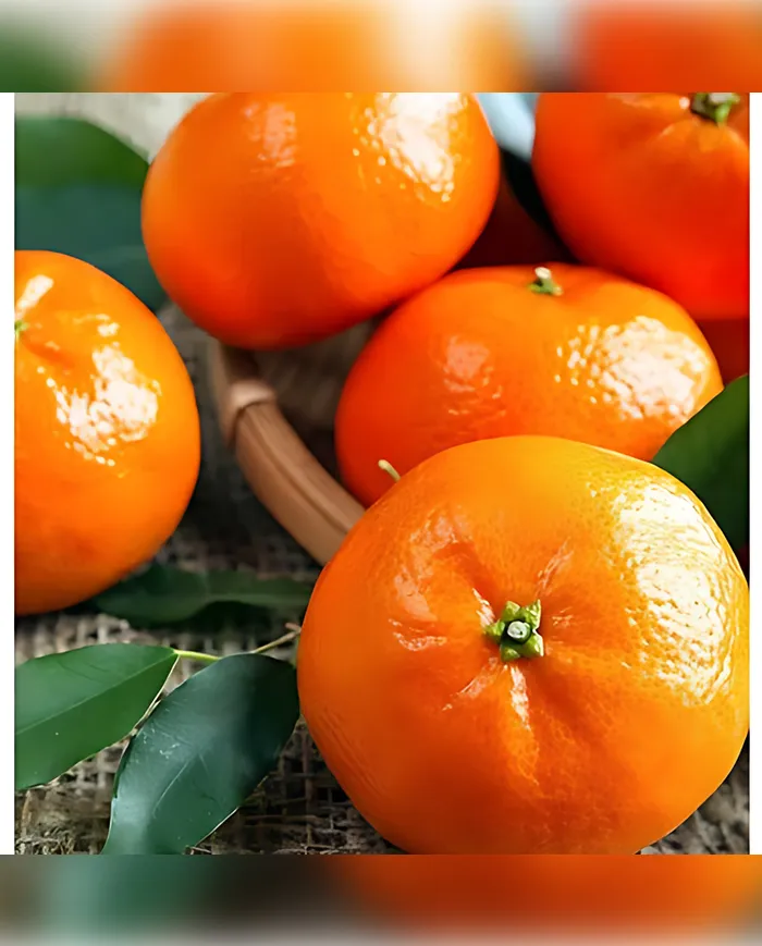 1 KG Kokulu Murkat Mandalina