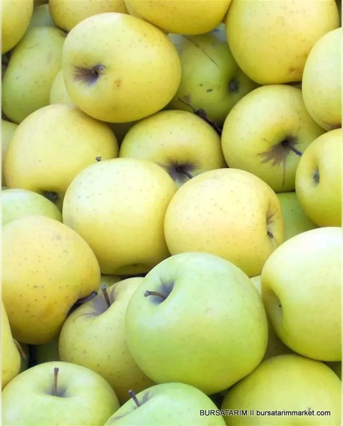 1 KG Sarı Elma